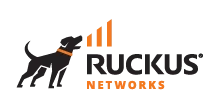 ruckus technology partner